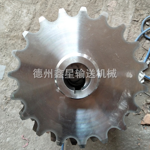 双节距不锈钢链轮